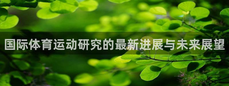 国际体育运动研究的最新进展与未来展望