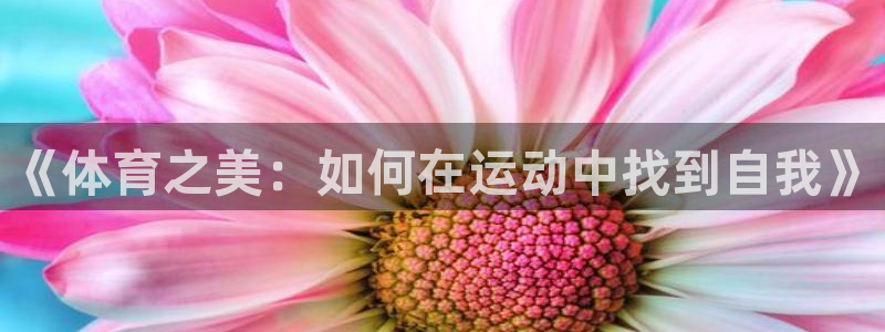 《体育之美：如何在运动中找到自我》