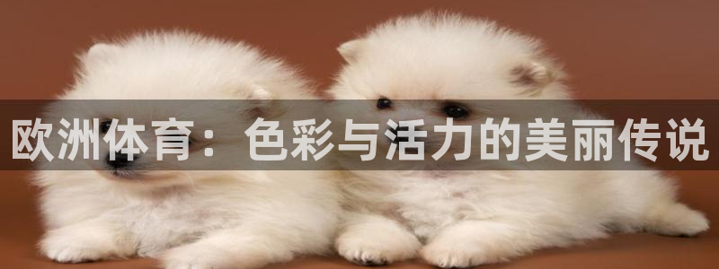 欧洲体育：色彩与活力的美丽传说